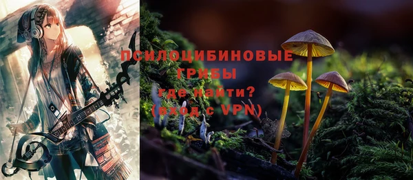 СК Киренск